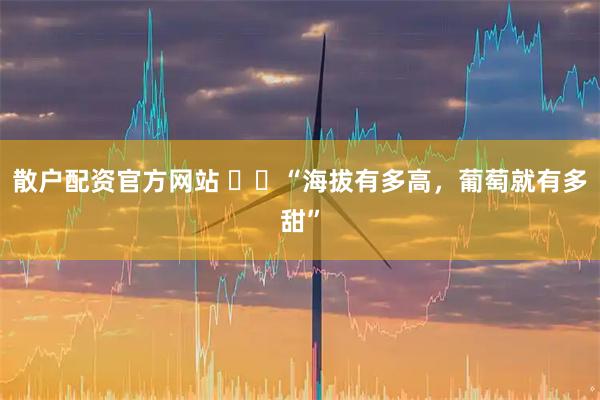 散户配资官方网站 ‍‍“海拔有多高，葡萄就有多甜”