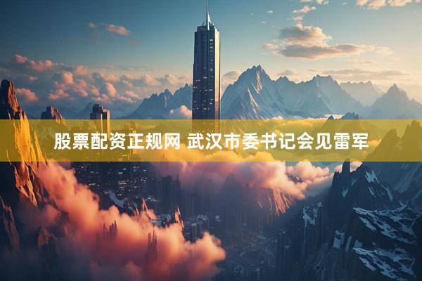 股票配资正规网 武汉市委书记会见雷军