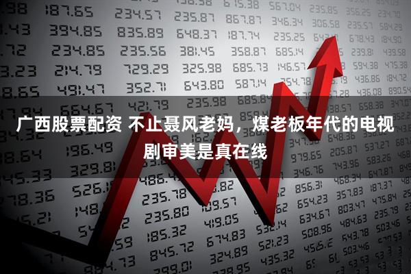 广西股票配资 不止聂风老妈,煤老板年代的电视剧审美是真在线